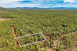 1 Acre Birdsong Way, Lakeside, AZ 85929 - Photo 1