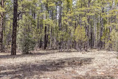 1 Acre Birdsong Way, Lakeside, AZ 85929 - Photo 11