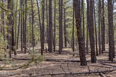 1 Acre Birdsong Way, Lakeside, AZ 85929 - Photo 9