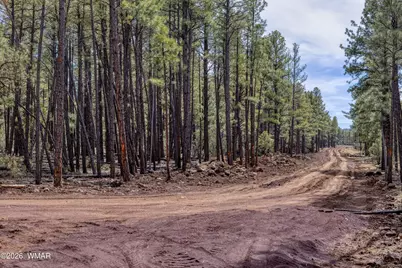 1 Acre Birdsong Way, Lakeside, AZ 85929 - Photo 9