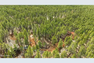 1 Acre Birdsong Way, Lakeside, AZ 85929 - Photo 15