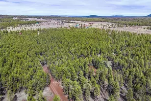 1 Acre Birdsong Way, Lakeside, AZ 85929 - Photo 1