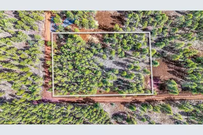 1 Acre Birdsong Way, Lakeside, AZ 85929 - Photo 7