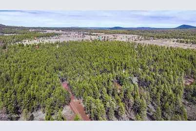 1 Acre Birdsong Way, Lakeside, AZ 85929 - Photo 13