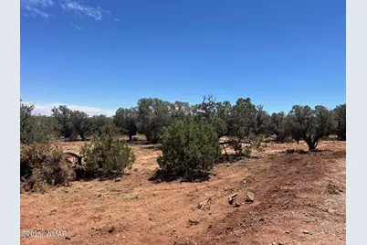 4129 Apache Road, Snowflake, AZ 85937 - Photo 47