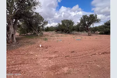 4029 Apache Road, Snowflake, AZ 85937 - Photo 41