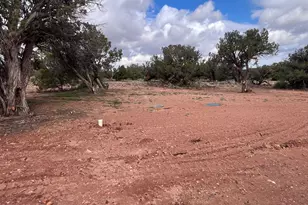4029 Apache Rd, Snowflake, AZ 85937 - Photo 41