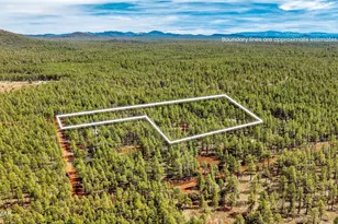 4 74 Acres Birdsong Way, Lakeside, AZ 85929 - Photo 1