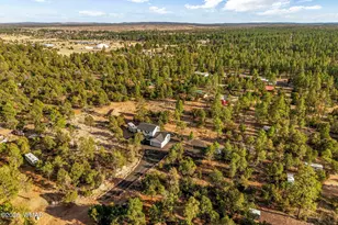 2845 Mustang Trail, Overgaard, AZ 85933 - Photo 25