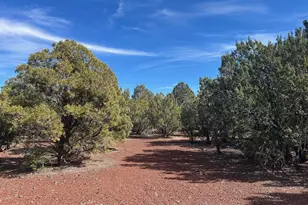 Lot 86 Ricks Rd, Vernon, AZ 85940 - Photo 1