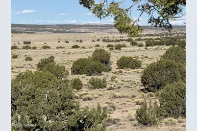 Tbd Woodland Valley Ranch Lot 849, Saint Johns, AZ 85936 - Photo 1