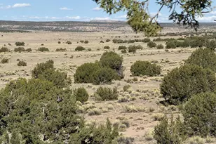 Tbd Woodland Valley Ranch Lot 849, Saint Johns, AZ 85936 - Photo 1