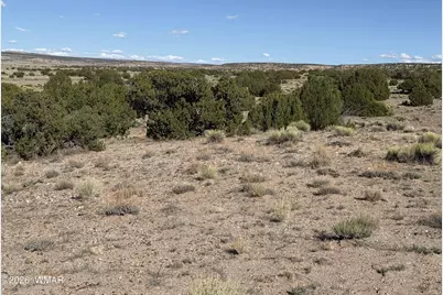 Tbd Woodland Valley Ranch Lot 849, Saint Johns, AZ 85936 - Photo 3