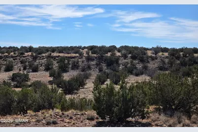 5827 Watermelon Drive, Heber, AZ 85928 - Photo 9