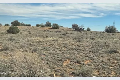 5827 Watermelon Drive, Heber, AZ 85928 - Photo 7