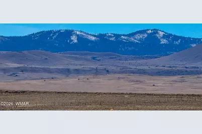 0 Cr 4008 (25 Acres), Saint Johns, AZ 85936 - Photo 3