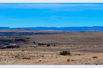 0 Cr 4008 (25 Acres), Saint Johns, AZ 85936 - Photo 17