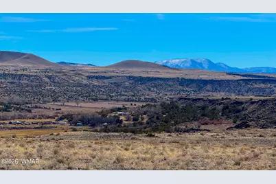 0 Cr 4008 (25 Acres), Saint Johns, AZ 85936 - Photo 11