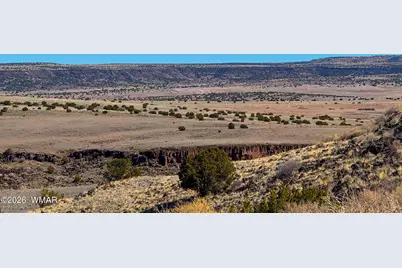 0 Cr 4008 (25 Acres), Saint Johns, AZ 85936 - Photo 15