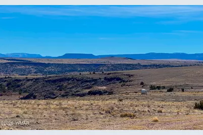 0 Cr 4008 (25 Acres), Saint Johns, AZ 85936 - Photo 19