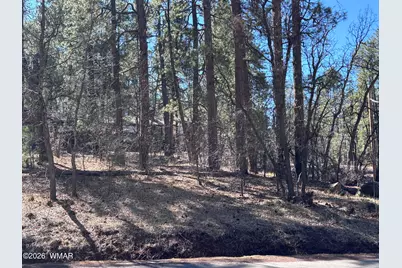 3795 Mogollon Vista Drive, Pinetop, AZ 85935 - Photo 1