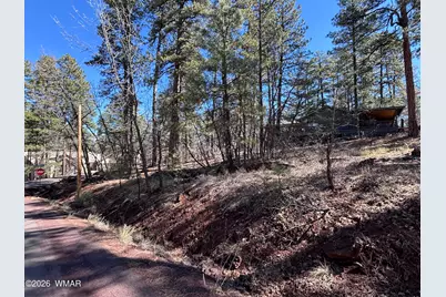 3795 Mogollon Vista Drive, Pinetop, AZ 85935 - Photo 5