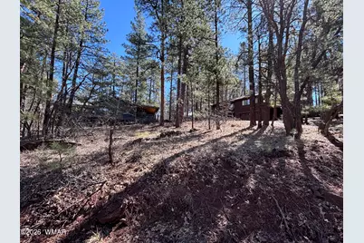3795 Mogollon Vista Drive, Pinetop, AZ 85935 - Photo 3