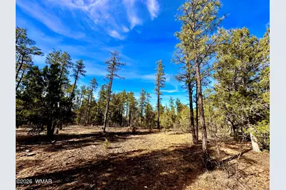 321 W Aspen Trail, Show Low, AZ 85901 - Photo 5