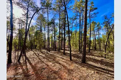 321 W Aspen Trail, Show Low, AZ 85901 - Photo 7