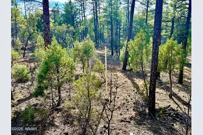 321 W Aspen Trail, Show Low, AZ 85901 - Photo 11