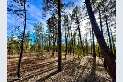 321 W Aspen Trail, Show Low, AZ 85901 - Photo 3