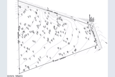 321 W Aspen Trail, Show Low, AZ 85901 - Photo 17