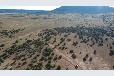 Tbd Concho 10Ac, Concho, AZ 85924 - Photo 15