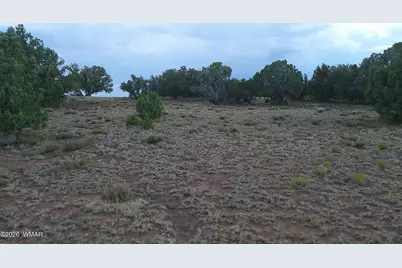 Tbd Concho 10Ac, Concho, AZ 85924 - Photo 17