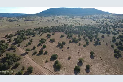 Tbd Concho 10Ac, Concho, AZ 85924 - Photo 3