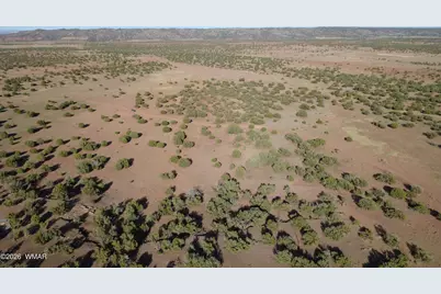 Tbd Concho 10Ac, Concho, AZ 85924 - Photo 7