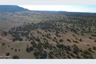 Tbd Concho 10Ac, Concho, AZ 85924 - Photo 13