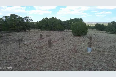 Tbd Concho 10Ac, Concho, AZ 85924 - Photo 15