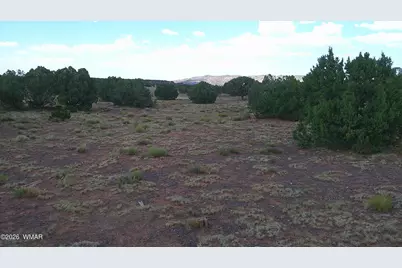 Tbd Concho 10Ac, Concho, AZ 85924 - Photo 5