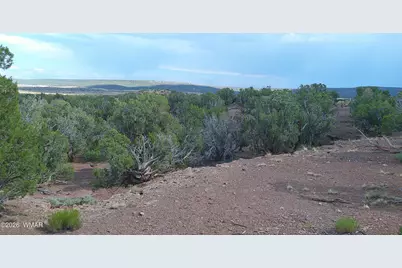 Tbd Concho 10Ac, Concho, AZ 85924 - Photo 23