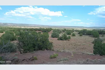 Tbd Concho 10Ac, Concho, AZ 85924 - Photo 11