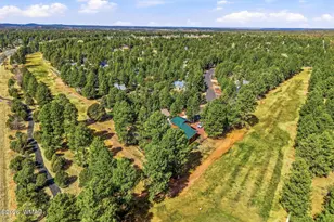 320 N 34th Dr, Show Low, AZ 85901 - Photo 43