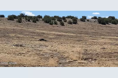 1342 Concho Highway, Concho, AZ 85924 - Photo 23