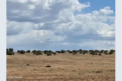 1342 Concho Highway, Concho, AZ 85924 - Photo 3
