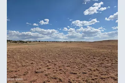 1342 Concho Highway, Concho, AZ 85924 - Photo 13