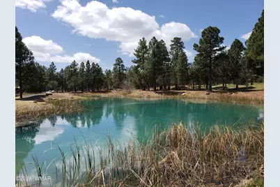 520 N Silverleaf Lane, Show Low, AZ 85901 - Photo 57