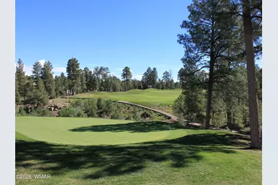 520 N Silverleaf Lane, Show Low, AZ 85901 - Photo 59