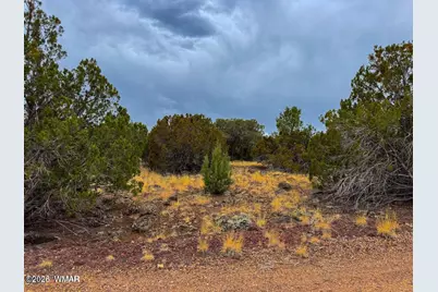 8423 Apache Drive, Show Low, AZ 85901 - Photo 3