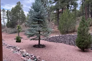 4520 W Tatanka Loop, Show Low, AZ 85901 - Photo 19