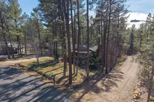 4681 W Mogollon Dr, Show Low, AZ 85901 - Photo 3